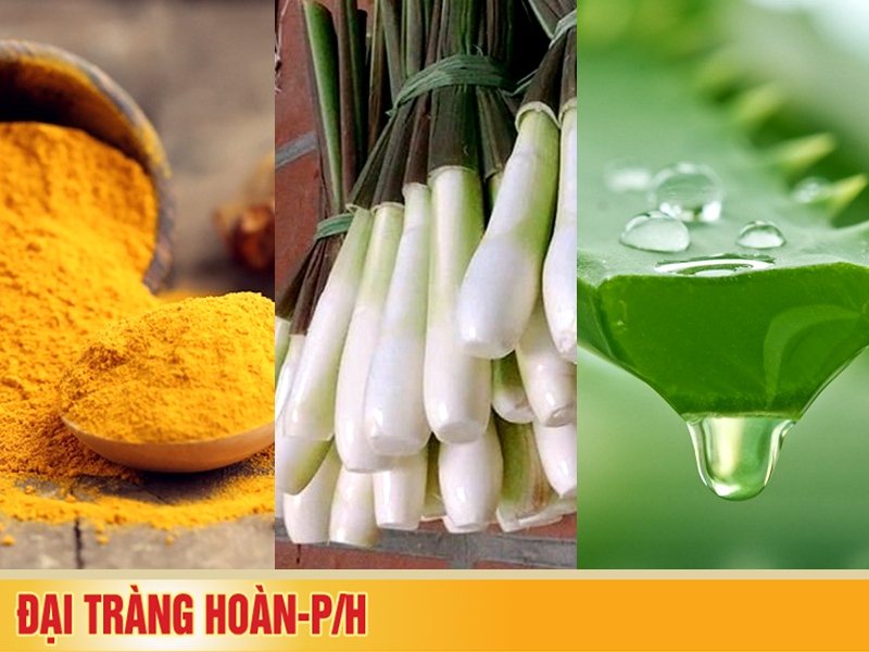 Bài thuốc chữa viêm đại tràng dân gian