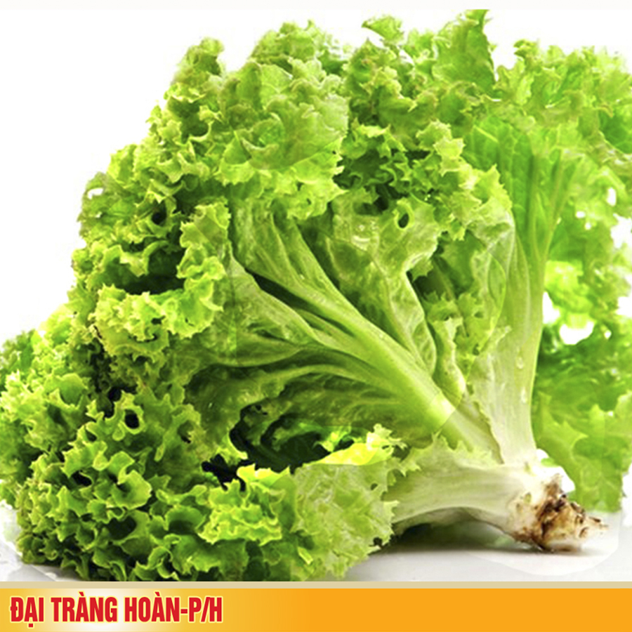 Rau xà lách cực tốt nhưng những trường hợp sau nên tránh xa